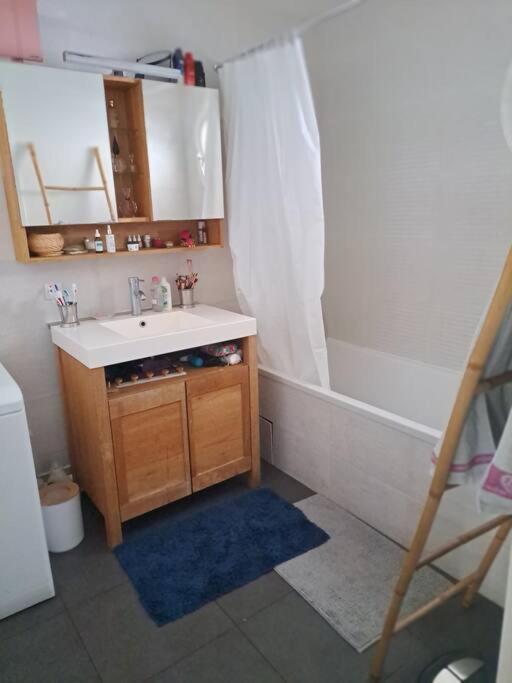 Appartement Cosy Avec Jardin Et Parking Gennevilliers Eksteriør billede